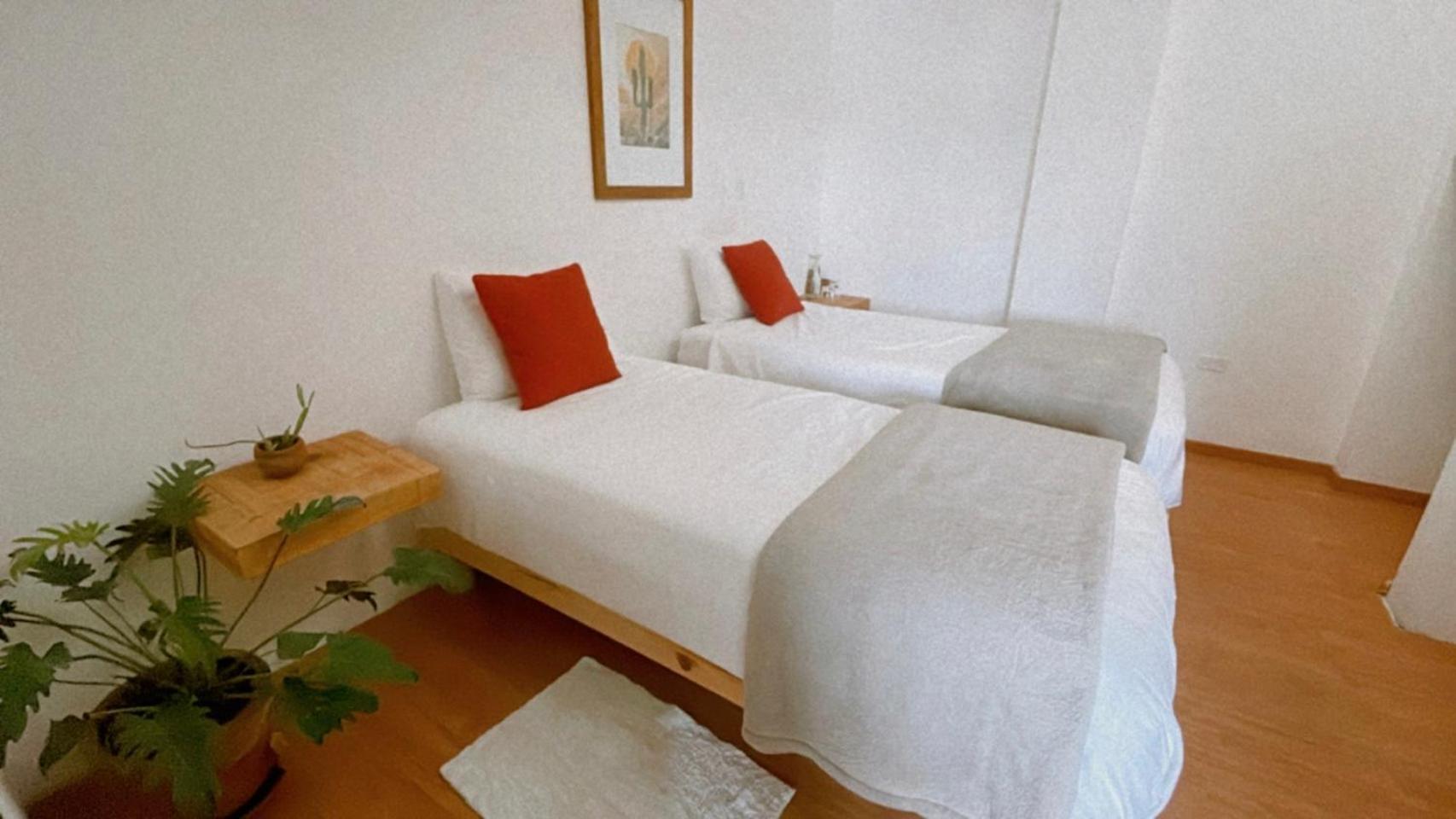 Estudio Terraza - Todos Santos - Centro מראה חיצוני תמונה